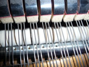 BECHSTEIN HAMMERS 2