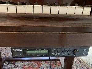 bechstein genio